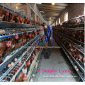 Cheap Electro Galvanized A type Iron Wire Mesh Poultry Layer Chicken Cages